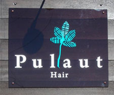 Pulaut